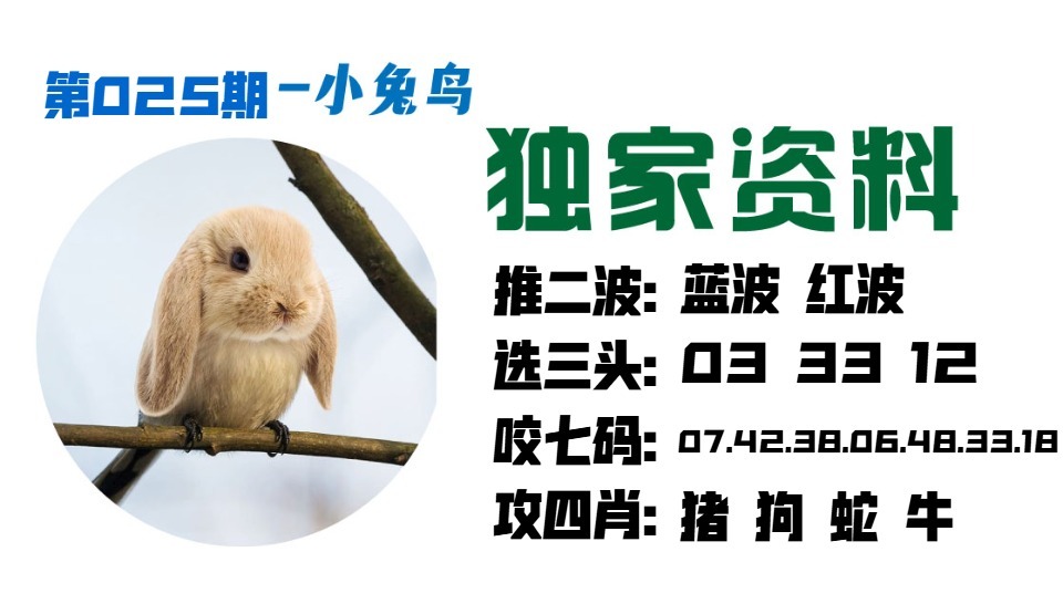 025期小兔鸟[图]